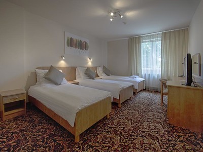 A triple room in Kuźnia Napoleońska